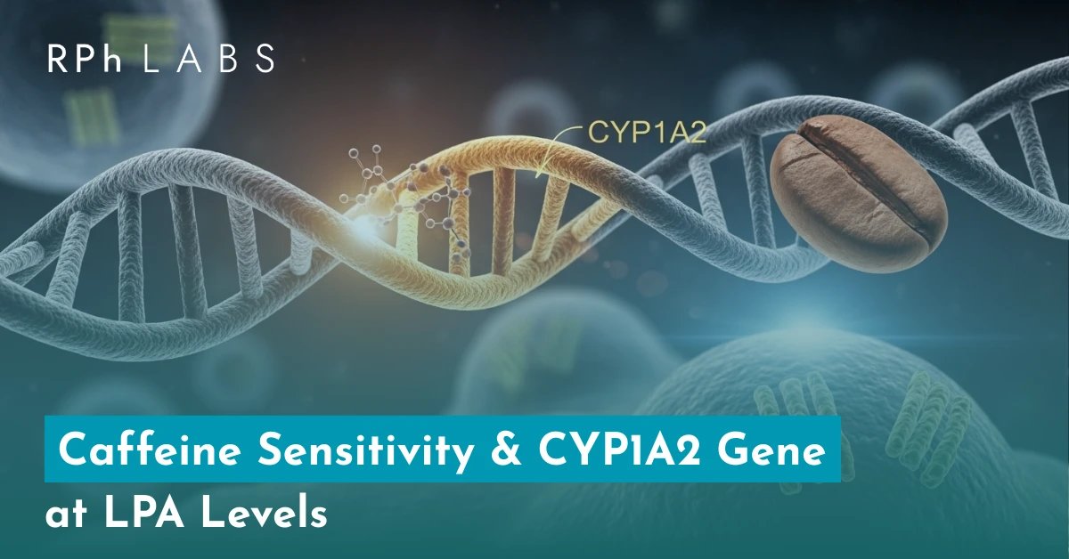 CYP1A2 Gene at LPA Levels