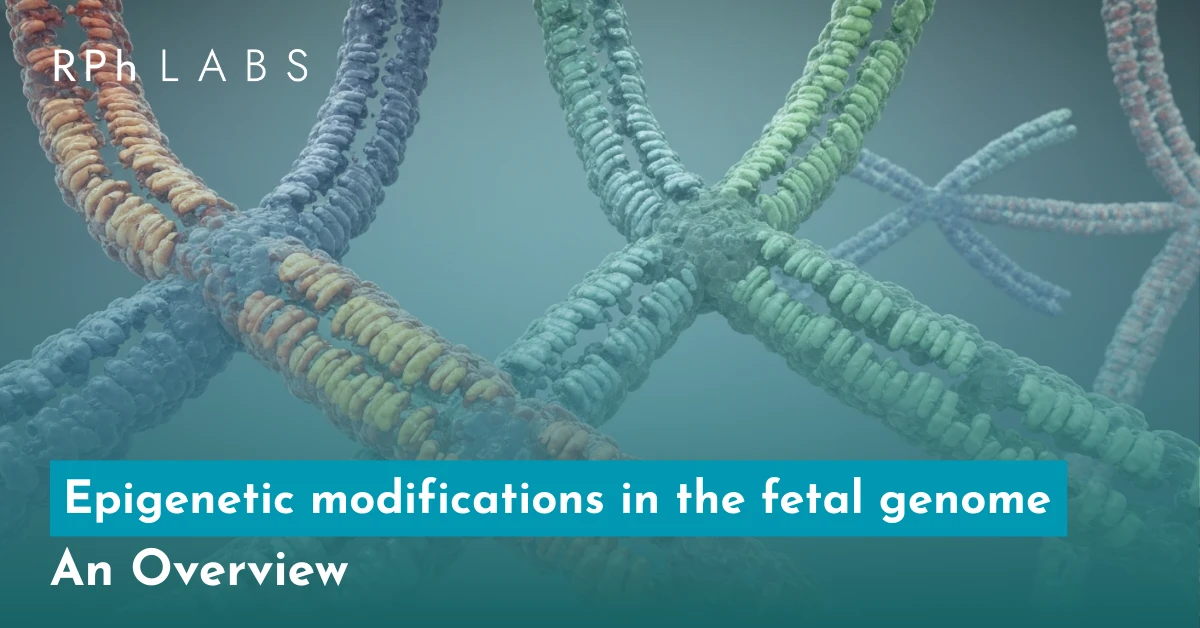 Epigenetic modification in the fetal genome