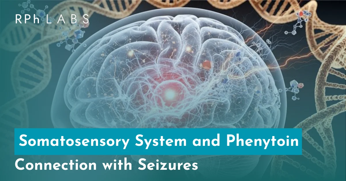 Somatosensory System and Phenytoin
