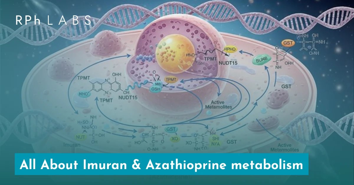 Azathioprine Metabolism