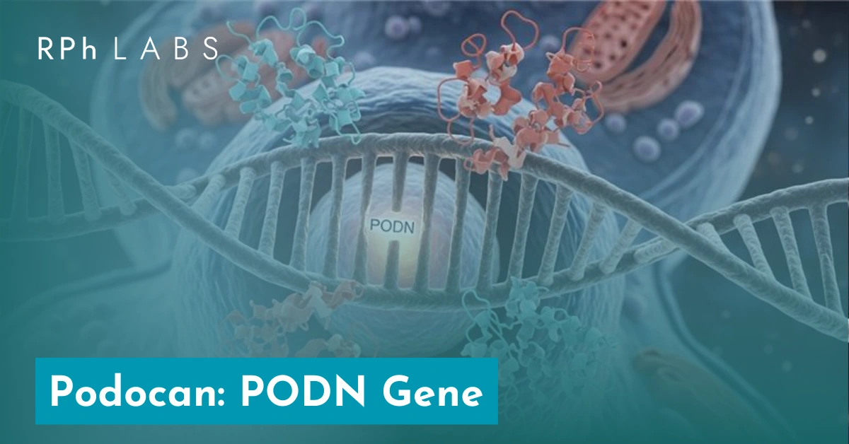 PODN Gene